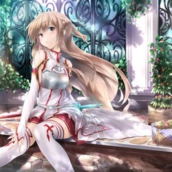 Пазл: Асуна