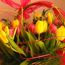 Пазл: Тюльпанчики 