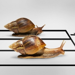 Пазл: Забег