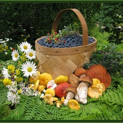 Пазл: Из лесу