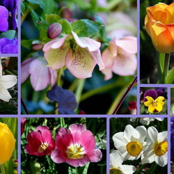 Пазл: Цветочный коллаж