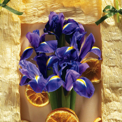 Пазл: Ирисы