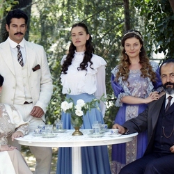 Пазл: Королек, птичка певчая