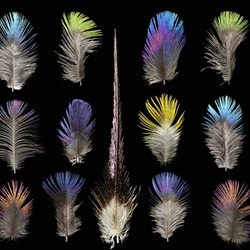 Пазл: Перья