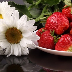 Пазл: Белое и красное