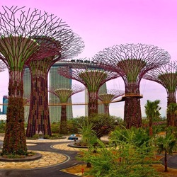 Пазл: Сады Сингапура