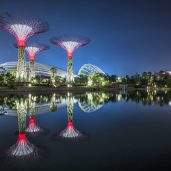 Пазл: Сады Сингапура