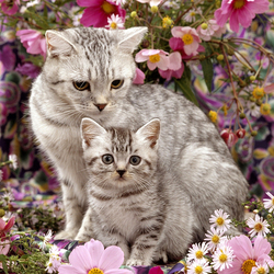 Пазл: С мамой