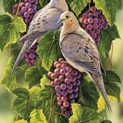 Пазл: Птицы и виноград