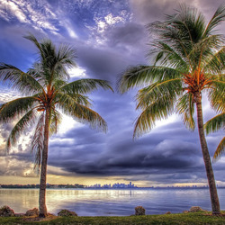 Пазл: В небо