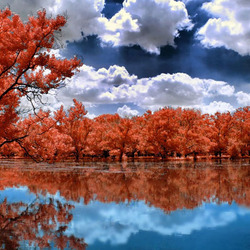 Пазл: Осенний парк