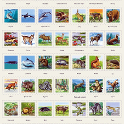 Пазл: Изучаем животных