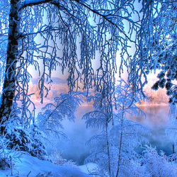 Пазл: Зимнее кружево