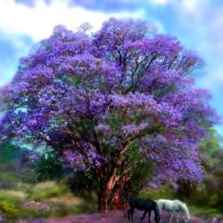 Пазл: Пора цветения