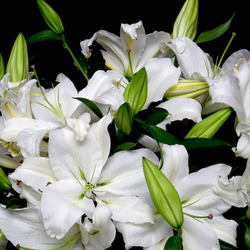 Пазл: Сладкий аромат