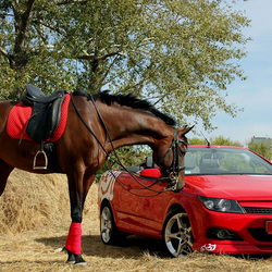 Пазл: Опель