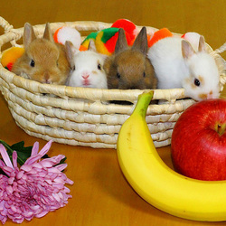 Пазл: Малыши