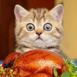 Пазл: Это все мне?