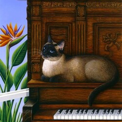 Пазл: Музыкальный кот