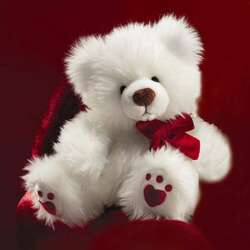 Пазл: Мишутка