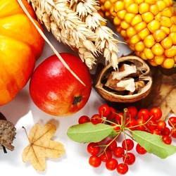 Пазл: Урожай