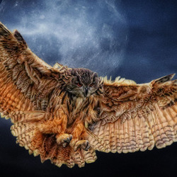 Пазл: Ночной гость