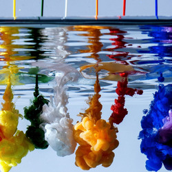 Пазл: Подводная радуга