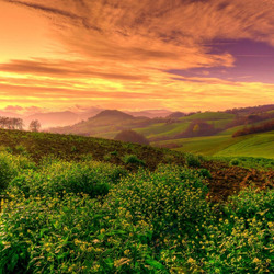 Пазл: Чудное небо