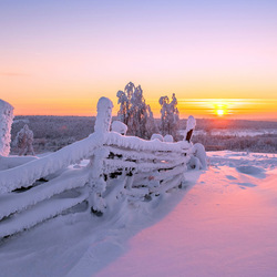 Пазл: Зимний рассвет