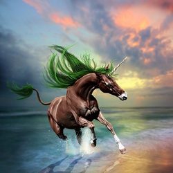 Пазл: Морской единорог