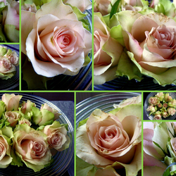 Пазл: Царица цветов