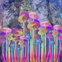 Пазл: Грибочки