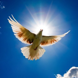 Пазл: Высоко в облаках