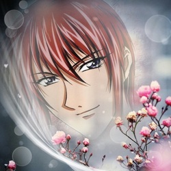 Пазл: Абиссинец