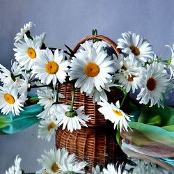 Пазл: Ромашки