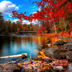 Пазл: Осень