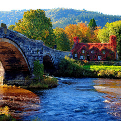 Пазл: Осень