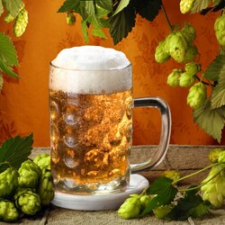 Пазл: Холодненькое