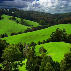 Пазл: Зеленые просторы