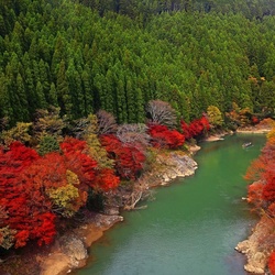 Пазл: Япония