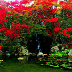 Пазл: Японский сад