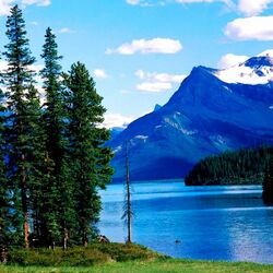 Пазл: Гармония природы