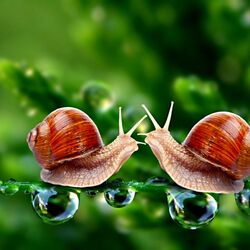 Пазл: Свидание