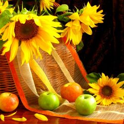 Пазл: Изумительные подсолнухи