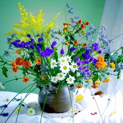 Пазл: Полевые цветы