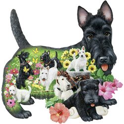 Пазл: Скотч-терьеры