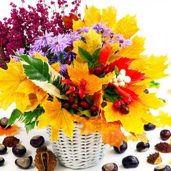 Пазл: Осень