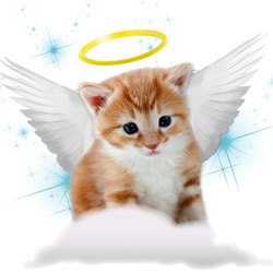 Пазл: Просто ангел