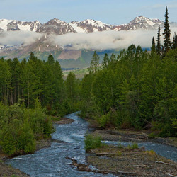 Пазл: Лесная река