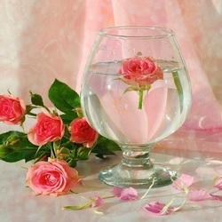 Пазл: Королева цветов